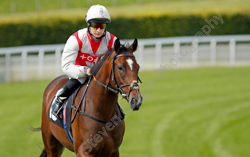 Buddy s-Beauty-0001 
 BUDDY'S BEAUTY (Cieren Fallon)
Goodwood 28 Aug 2021 - Pic Steven Cargill / Racingfotos.com