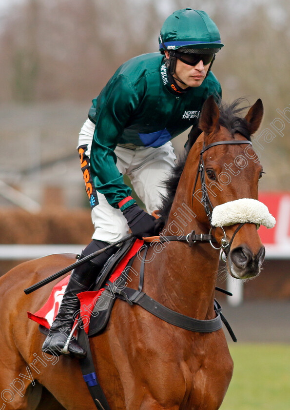 Court-In-The-Act-0002 
 COURT IN THE ACT (Paul O'Brien)
Kempton 22 Feb 2025 - Pic Steven Cargill / Racingfotos.com