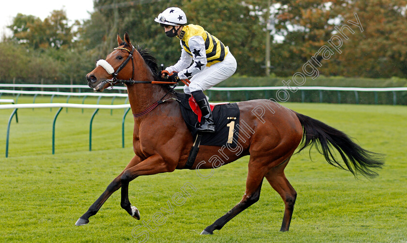 Dakota-Gold-0001 
 DAKOTA GOLD (Connor Beasley) winner of The Rous Stakes
Nottingham 14 Oct 2020 - Pic Steven Cargill / Racingfotos.com