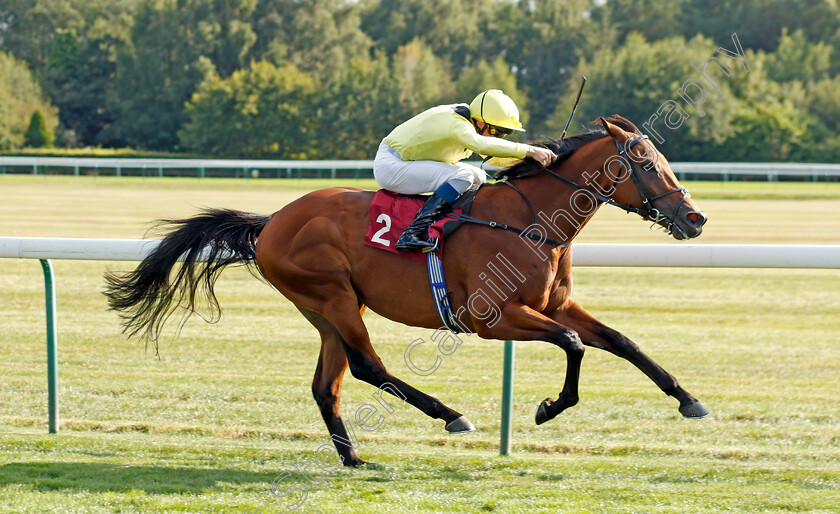 Saleymm-0003 
 SALEYMM (William Buick) wins The Lake View Gordon Lord Byron EBF Conditions Stakes
Haydock 1 Sep 2022 - Pic Steven Cargill / Racingfotos.com