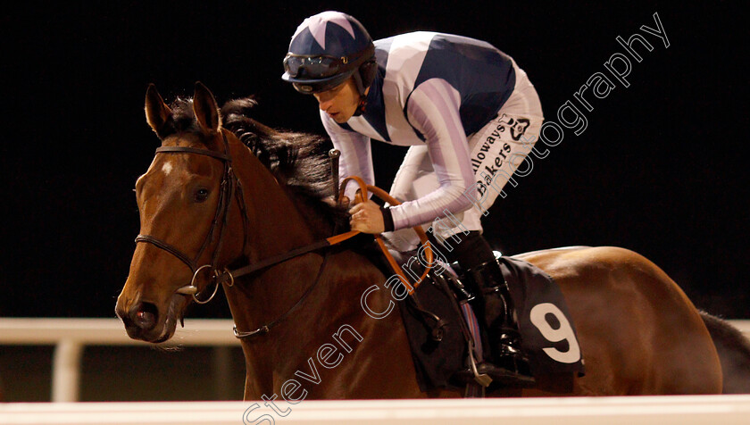 Marcela-De-Vega-0001 
 MARCELA DE VEGA (Richard Kingscote)
Chelmsford 19 Nov 2019 - Pic Steven Cargill / Racingfotos.com