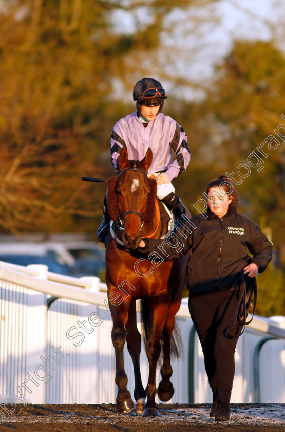 Asdaa-0001 
 ASDAA (Jason Hart)
Lingfield 21 Jan 2023 - Pic Steven Cargill / Racingfotos.com