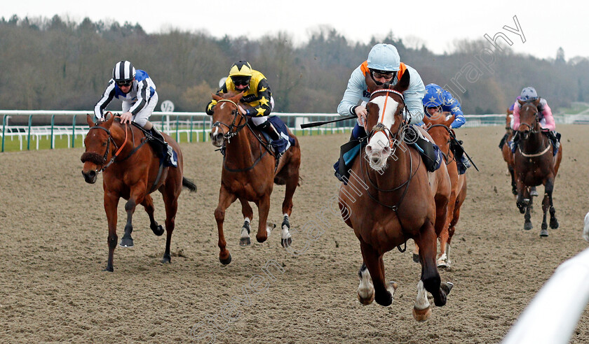 Longsider-0004 
 LONGSIDER (Ryan Tate) wins The Betway Novice Stakes
Lingfield 6 Feb 2021 - Pic Steven Cargill / Racingfotos.com