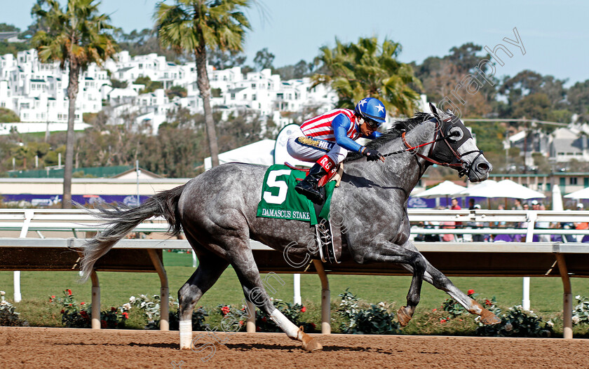 Americanize-0001 
 AMERICANIZE (Rafael Bejarano) wins The Damascus Stakes, Del Mar USA 3 Nov 2017 - Pic Steven Cargill / Racingfotos.com