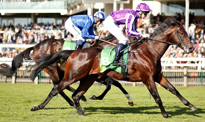 Ten-Sovereigns-0007 
 TEN SOVEREIGNS (Donnacha O'Briens) wins The Juddmonte Middle Park Stakes
Newmarket 29 Sep 2018 - Pic Steven Cargill / Racingfotos.com