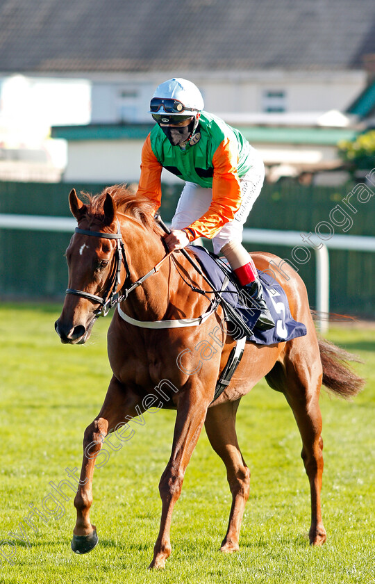 Lady-Of-Desire-0001 
 LADY OF DESIRE (Andrea Atzeni)
Yarmouth 17 Sep 2020 - Pic Stevn Cargill / Racingfotos.com