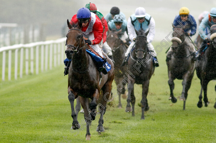 Formal-0004 
 FORMAL (Ryan Moore) wins The British EBF Fillies Novice Stakes
Leicester 10 Sep 2024 - Pic Steven Cargill / Racingfotos.com