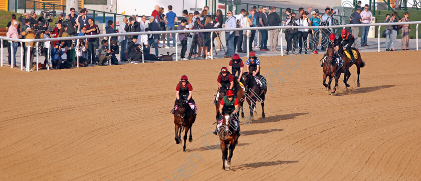 Aidan-O Brien-string-0004 
 THREEANDFOURPENCE leads SEAHENGE, MENDELSSOHN and other stable companions from Aidan O'Brien exercising at Meydan 29 Mar 2018 - Pic Steven Cargill / Racingfotos.com