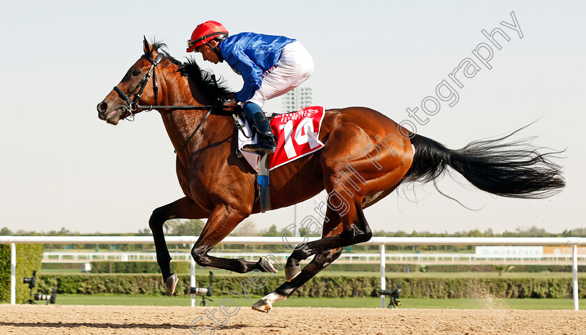 Ya-Hayati-0001 
 YA HAYATI (William Buick)
Meydan 7 Mar 2020 - Pic Steven Cargill / Racingfotos.com