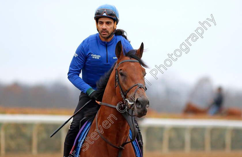 Naval-Crown-0001 
 NAVAL CROWN training for the Breeders' Cup Turf Sprint
Keeneland USA 1 Nov 2022 - Pic Steven Cargill / Racingfotos.com