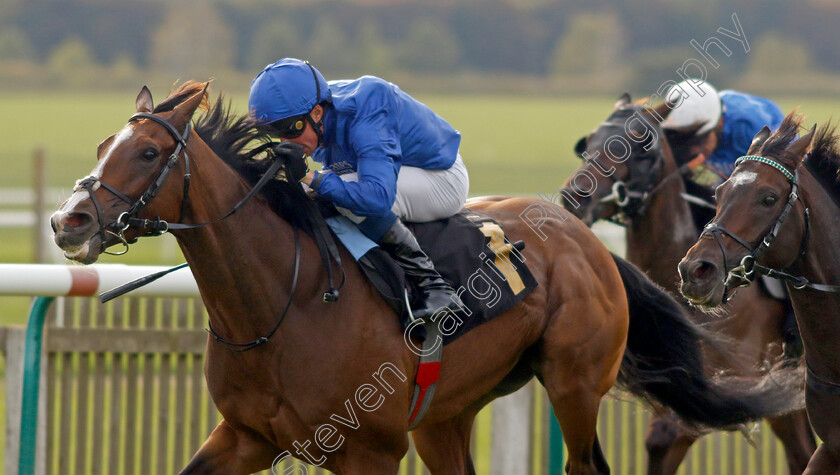 Dhahabi-0005 
 DHAHABI (William Buick) wins The Weatherbys Stallion Book Handicap
Newmarket 22 Sep 2022 - Pic Steven Cargill / Racingfotos.com