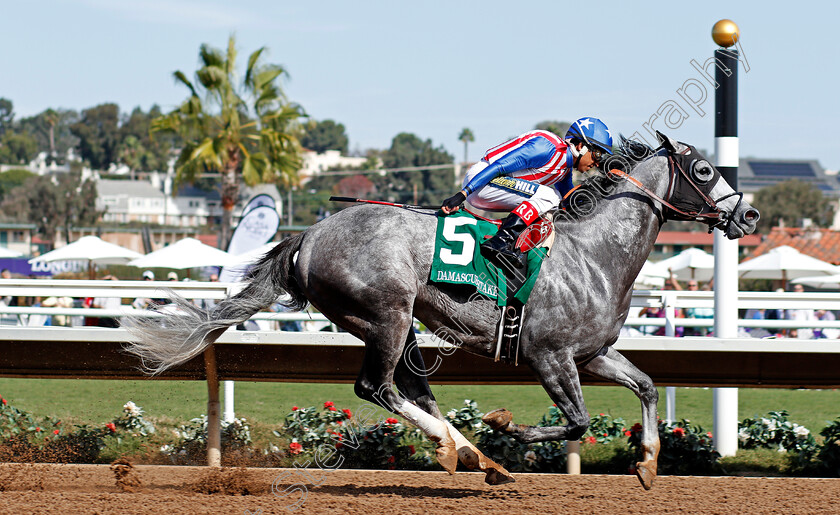 Americanize-0002 
 AMERICANIZE (Rafael Bejarano) wins The Damascus Stakes, Del Mar USA 3 Nov 2017 - Pic Steven Cargill / Racingfotos.com