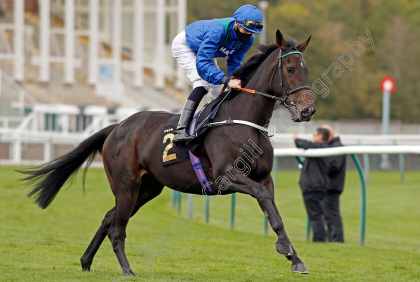 Kalma-0001 
 KALMA (Hector Crouch)
Nottingham 14 Oct 2020 - Pic Steven Cargill / Racingfotos.com