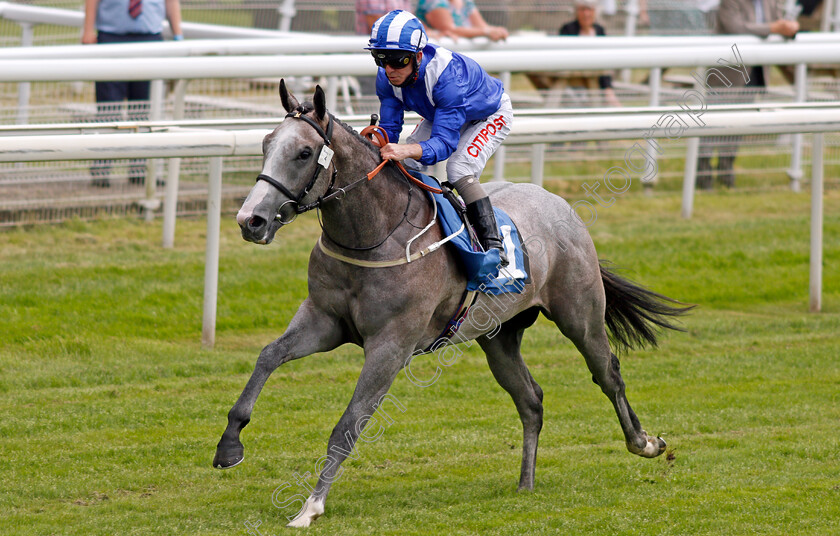 Jadhlaan-0007 
 JADHLAAN (Franny Norton) wins The eventmasters.co.uk British EBF Novice Stakes
York 11 Jun 2021 - Pic Steven Cargill / Racingfotos.com