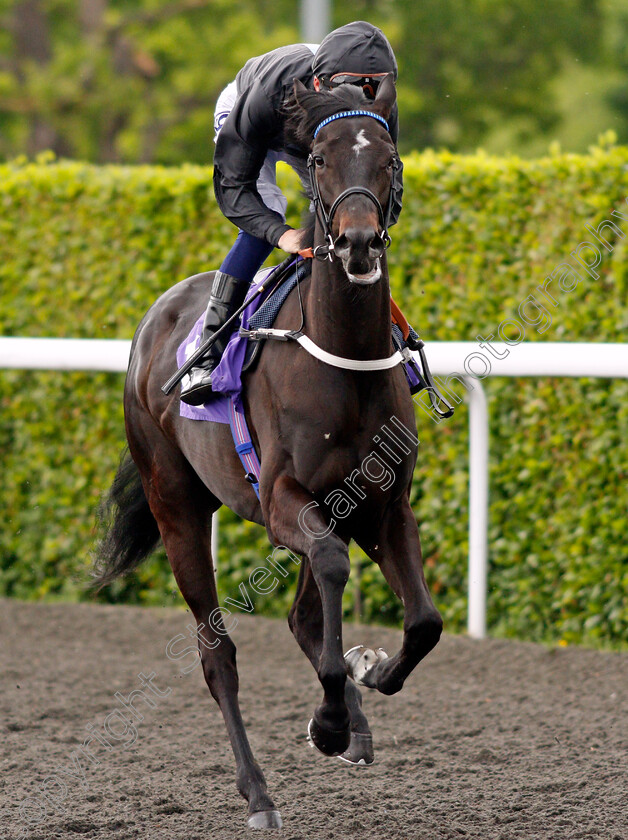 Spiceline-0001 
 SPICELINE (David Probert)
Kempton 2 Jun 2021 - Pic Steven Cargill / Racingfotos.com