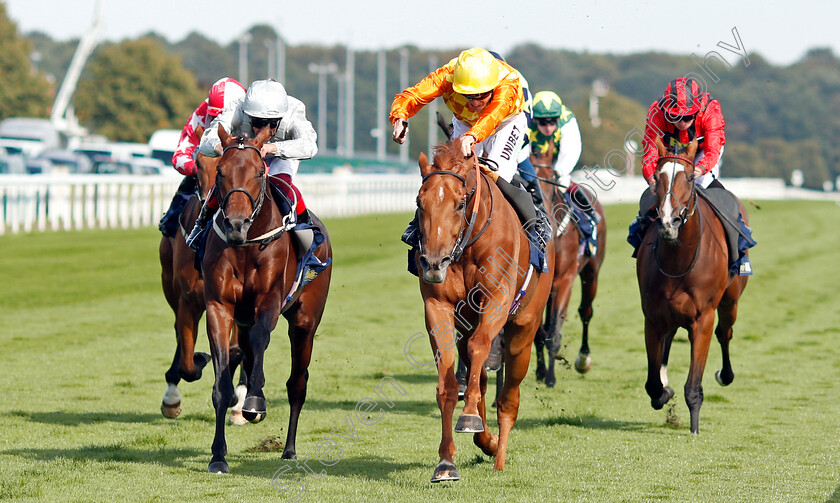 Sleeping-Lion-0002 
 SLEEPING LION (centre, Jamie Spencer) beats CHARLES KINGSLEY (left) in The William Hill Mallard Handicap
Doncaster 13 Sep 2019 - Pic Steven Cargill / Racingfotos.com