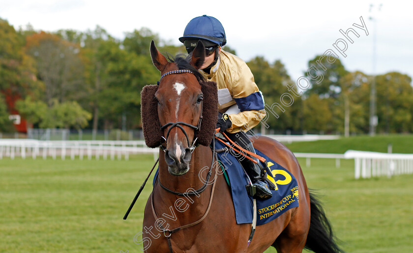 Outbox-0001 
 OUTBOX (Hollie Doyle)
Bro Park 18 Sep 2022 - Pic Steven Cargill / Racingfotos.com