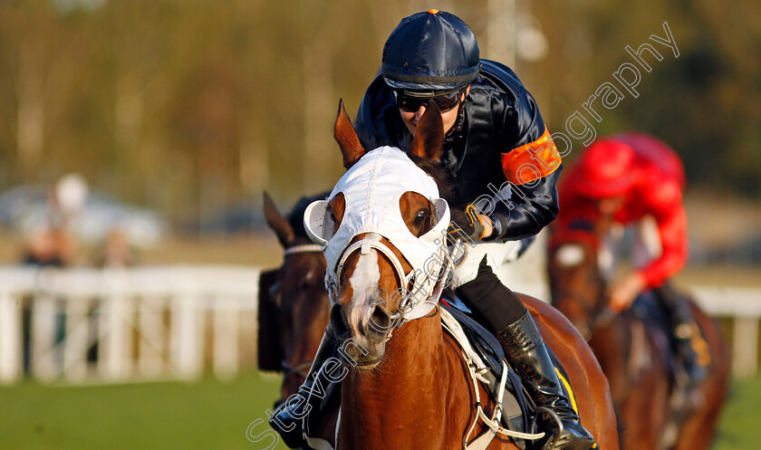 Little-Arabella-0001 
 LITTLE ARABELLA (Alina Ohgren) wins The Lanwades Stud Stakes
Bro Park, Sweden , 15 Sep 2024 - Pic Steven Cargill / Racingfotos.com