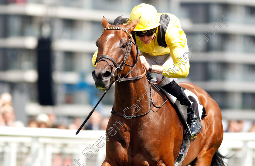 Boerhan-0004 
 BOERHAN (James Doyle) wins The Don Deadman Memorial EBF Maiden Stakes Div2
Newbury 17 Aug 2018 - Pic Steven Cargill / Racingfotos.com