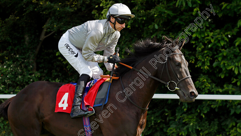 Atlantic-Convoy-0001 
 ATLANTIC CONVOY (Daniel Tudhope)
Sandown 15 Jun 2024 - Pic Steven Cargill / Racingfotos.com