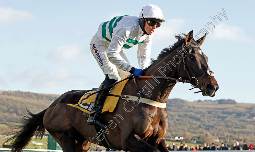 Botox-Has-0005 
 BOTOX HAS (Joshua Moore) wins The JCB Triumph Trial Juvenile Hurdle
Cheltenham 14 Dec 2019 - Pic Steven Cargill / Racingfotos.com