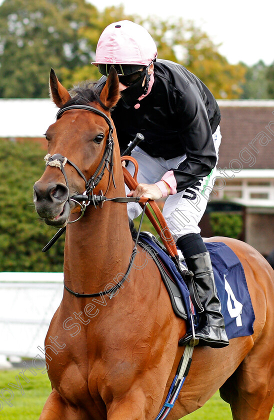 Folk-Dance-0001 
 FOLK DANCE (Jamie Spencer)
Lingfield 2 Sep 2020 - Pic Steven Cargill / Racingfotos.com