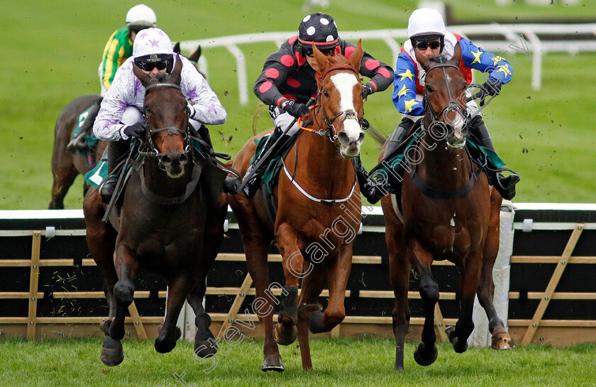 Ace-Of-Spades-0003 
 ACE OF SPADES (right, Harry Skelton) beats WHIMSY (centre) and COUNTRY PARK (left) in The Sue Ryder Leckhampton Court Hospice Maiden Hurdle
Cheltenham 17 Nov 2024 - Pic Steven Cargill