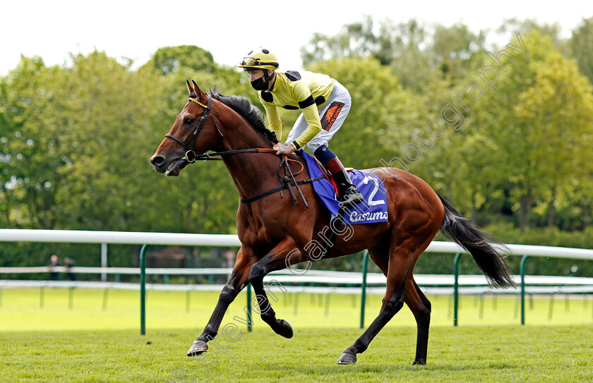 Postileo-0002 
 POSTILEO (David Egan)
Haydock 22 May 2021 - Pic Steven Cargill / Racingfotos.com