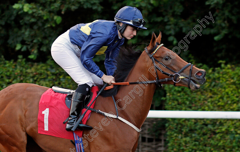 Jumbly-0002 
 JUMBLY (Saffie Osborne) winner of The Longines Irish Champions Weekend EBF Confined Fillies Novice Stakes
Kempton 3 Sep 2021 - Pic Steven Cargill / Racingfotos.com