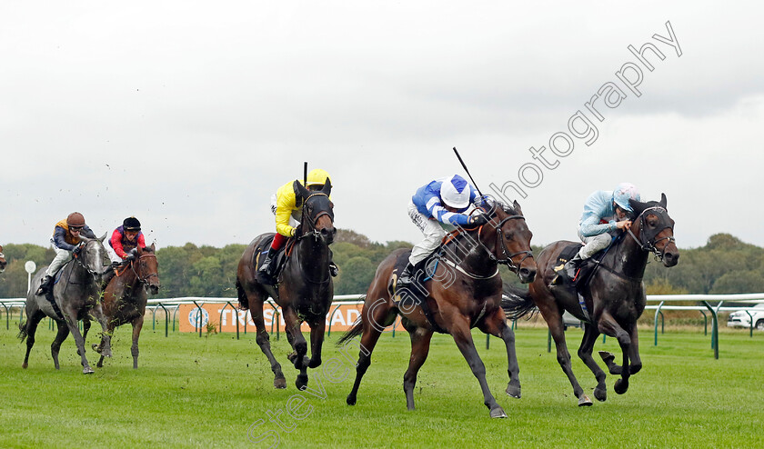 World-Of-Darcy-0004 
 WORLD OF DARCY (Rossa Ryan) beats GLOBAL SKIES (right) in The Trustatrader Apply Today EBF Novice Stakes
Nottingham 11 Oct 2023 - Pic Steven Cargill / Racingfotos.com