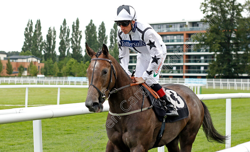 Guilded-0001 
 GUILDED (Shane Kelly)
Newbury 13 Aug 2021 - Pic Steven Cargill / Racingfotos.com