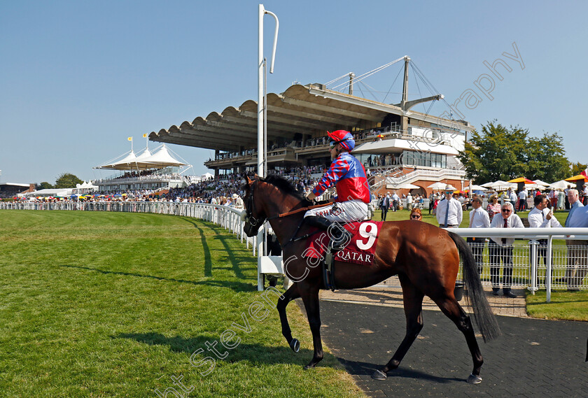 Big-Evs-0017 
 BIG EVS (Tom Marquand) winner of The King George Qatar Stakes
Goodwood 2 Aug 2024 - Pic Steven Cargill / Racingfotos.com