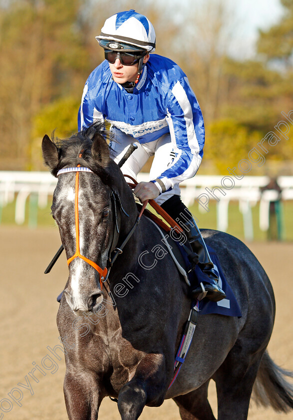 Fox-Power-0002 
 FOX POWER (Richard Kingscote)
Lingfield 10 Jan 2020 - Pic Steven Cargill / Racingfotos.com