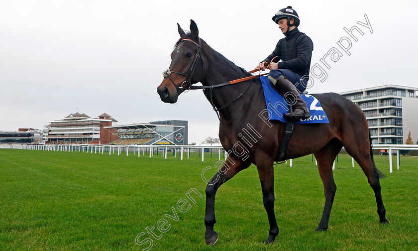 Dusart-0001 
 DUSART (James Bowen)
Coral Gold Cup Gallops Morning
Newbury 21 Nov 2023 - Pic Steven Cargill / Racingfotos.com