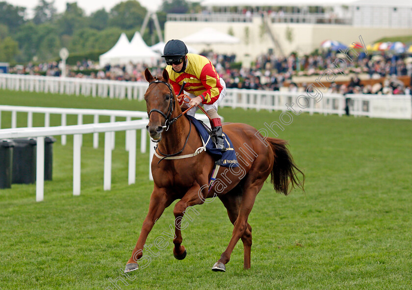 Sir-Ron-Priestley-0002 
 SIR RON PRIESTLEY (Franny Norton)
Ascot 19 Jun 2021 - Pic Steven Cargill / Racingfotos.com