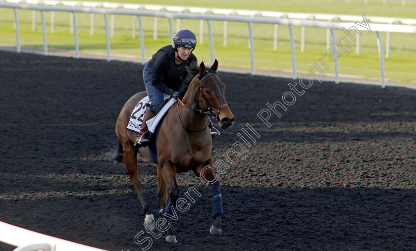 Equilateral-0002 
 EQUILATERAL training at the Dubai World Cup Carnival
Meydan 5 Jan 2023 - Pic Steven Cargill / Racingfotos.com