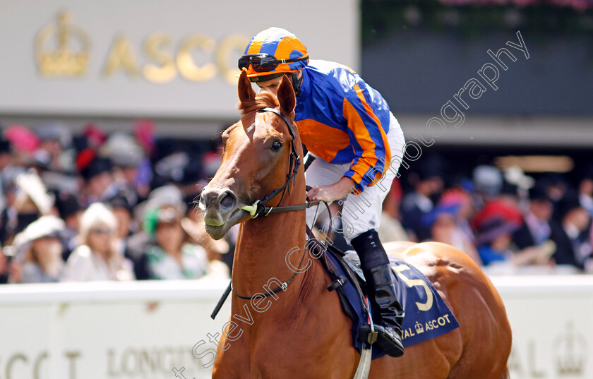 Fairy-Godmother-0003 
 FAIRY GODMOTHER (Ryan Moore) winner of The Albany Stakes
Royal Ascot 21 Jun 2024 - Pic Steven Cargill / Racingfotos.com