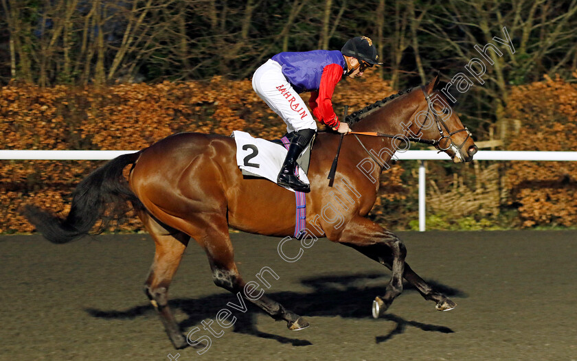 Calculate-0002 
 CALCULATE (Tom Marquand)
Kempton 14 Feb 2024 - Pic Steven Cargill / Racingfotos.com