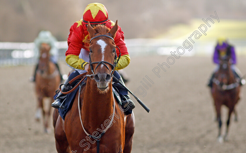 Harrison-Point-0005 
 HARRISON POINT (Hollie Doyle) wins The Ladbrokes Where The Nation Plays EBF Novice Stakes
Lingfield 9 Dec 2019 - Pic Steven Cargill / Racingfotos.com