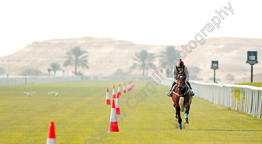 Coolagh-Forest-0002 
 COOLAGH FOREST (John Egan) training for the Bahrain International Trophy
Rashid Equestrian & Horseracing Club, Bahrain, 18 Nov 2020