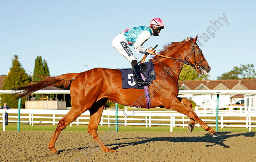 John-Locke-0001 
 JOHN LOCKE (Harry Bentley)
Lingfield 4 Aug 2020 - Pic Steven Cargill / Racingfotos.com