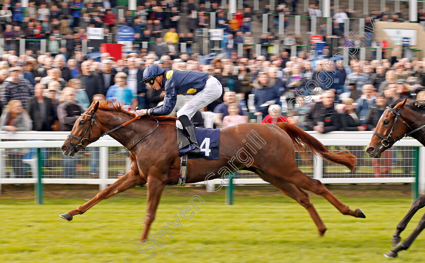 Dramatic-Queen-0004 
 DRAMATIC QUEEN (James Doyle) wins The Breeders Backing Racing EBF Fillies Novice Stakes Div1 Yarmouth 24 Oct 2017 - Pic Steven Cargill / Racingfotos.com