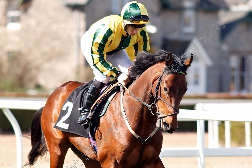 Baileys-Freedom-0003 
 BAILEYS FREEDOM (Edward Greatrex)
Musselburgh 2 Apr 2019 - Pic Steven Cargill / Racingfotos.com