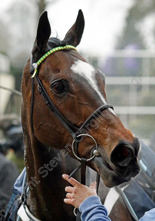 Jonbon-0011 
 JONBON winner of The Betmgm Clarence House Chase
Ascot 18 Jan 2025 - Pic Steven Cargill / Racingfotos.com