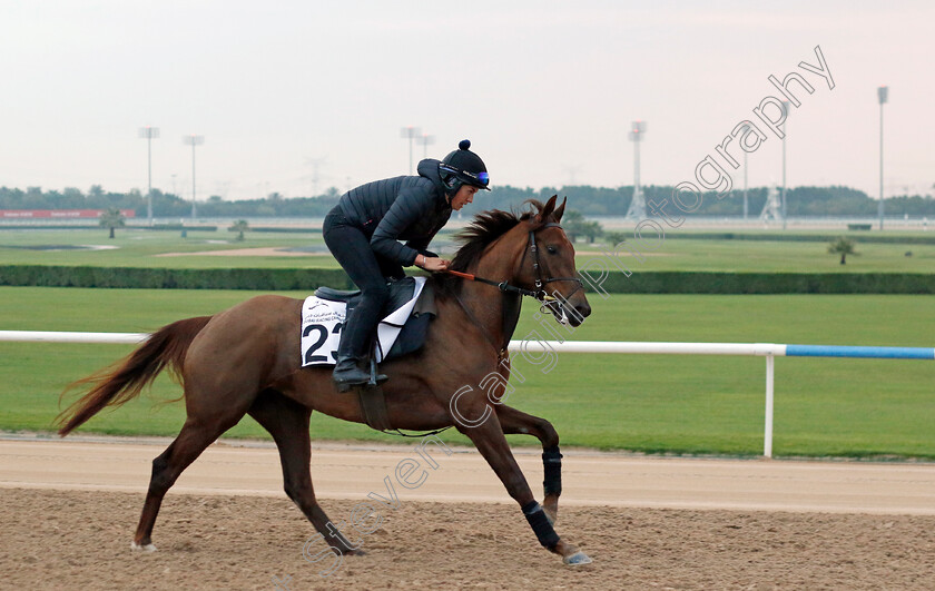 Geologist-0001 
 GEOLOGIST training at the Dubai Racing Carnival
Meydan 1 Feb 2024 - Pic Steven Cargill / Racingfotos.com