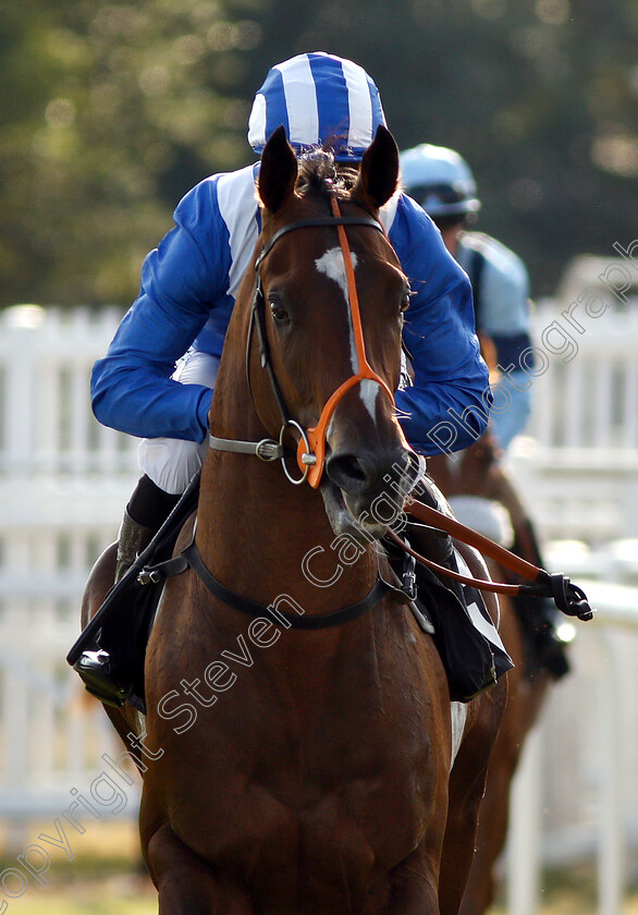 Motafaawit-0001 
 MOTAFAAWIT (Jim Crowley) 
Newbury 26 Jul 2018 - Pic Steven Cargill / Racingfotos.com