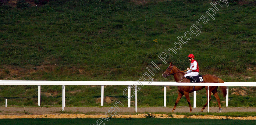 Roof-Garden-0006 
 ROOF GARDEN (Louis Steward) after The Bet totequadpot At totesport.com Handicap
Chelmsford 6 Sep 2018 - Pic Steven Cargill / Racingfotos.com