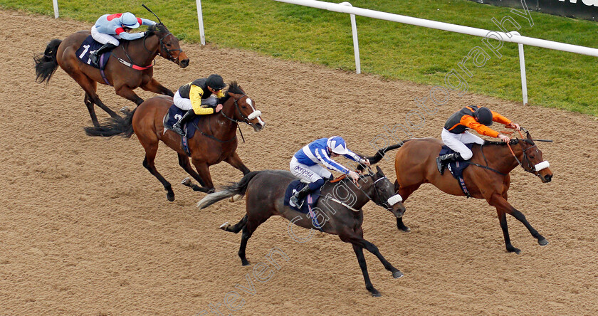 Notre-Belle-Bete-0004 
 NOTRE BELLE BETE (nearside, David Probert) beats BALDOMERO (farside) in The Mansionbet Lincoln Trial Handicap
Wolverhampton 12 Mar 2022 - Pic Steven Cargill / Racingfotos.com