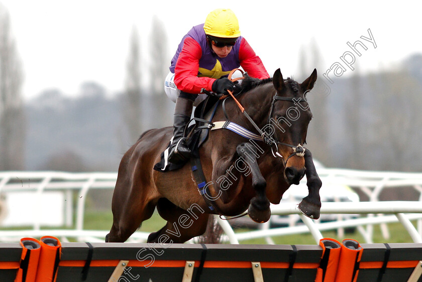 Dashel-Drasher-0001 
 DASHEL DRASHER (Matt Griffiths) wins The Be Wiser Insurance Novices Hurdle
Newbury 22 Mar 2019 - Pic Steven Cargill / Racingfotos.com