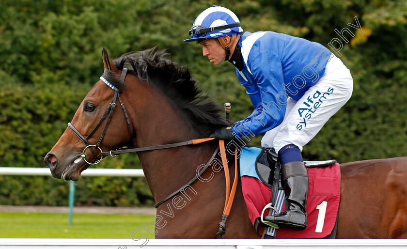 Daysan-0001 
 DAYSAN (Jim Crowley)
Haydock 3 Sep 2020 - Pic Steven Cargill / Racingfotos.com